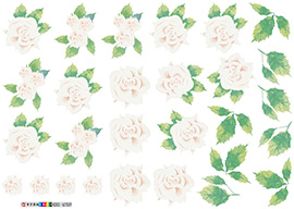 Offset Heat Transfer Logo Printing
