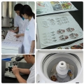 Care Label Heat Transfer For Shoes 
