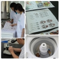 Leather Grain Decorative Film Heat Transfer Printing 