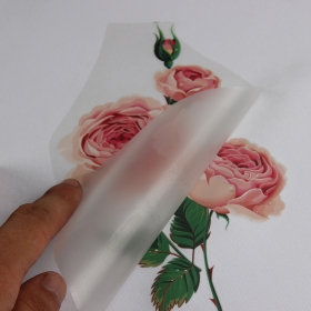 Heat Transfer Printing