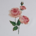 Thermochromic heat transfer printing 