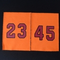 Wholesale Heat Transfer Number For Standard Soccer uniform 