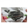 Wholesale custom high quality designs transfer sticker plastisol heat transfers printing for t shirts 