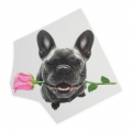 Wholesale custom high quality designs transfer sticker plastisol heat transfers printing for t shirts 
